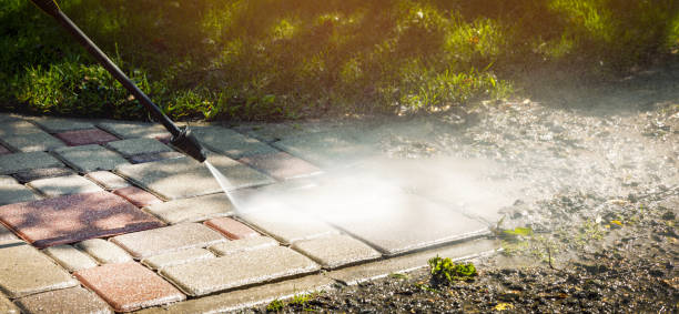 Best Graffiti Removal  in Greenwood, MS