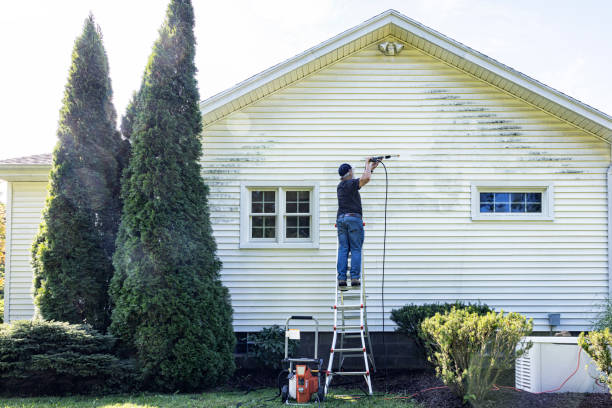 Best Sidewalk and Walkway Cleaning  in Greenwood, MS